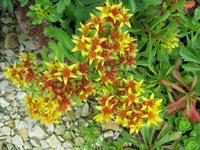 IMG_2067.webp