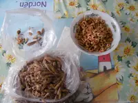 u1.webp
