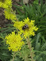 garten 09 016.webp