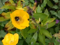 DSCN7306.webp