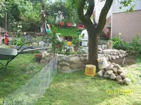 100_1955.webp