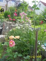 100_1957.webp