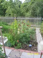 100_1958.webp