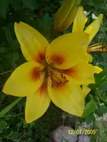 100_1961.webp