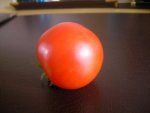 erste Tomate 2009-1.jpg