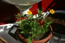 IMG_6030.webp