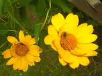 CIMG6430.webp