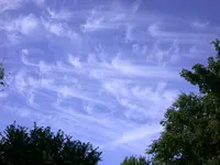 DSCN7376.webp