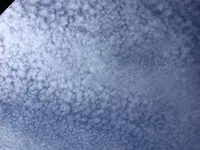 DSCN7377.webp