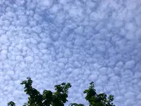 DSCN7384.webp