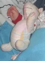 CIMG3341.webp