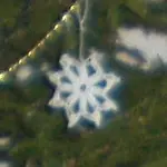 CIMG4589.webp