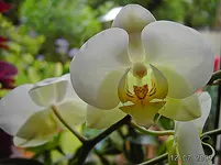 PICT4157.webp