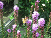 IMG_2103.webp