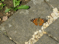 IMG_2106.webp
