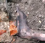 2009KW23_1-0380.webp