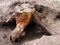 2009KW23_1-0384.webp