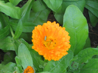 IMG_2112.webp