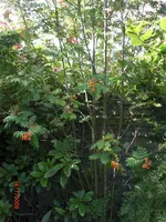 13.07.2009 051.webp
