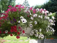 13.07.2009 062.webp