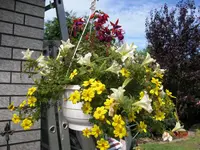 13.07.2009 063.webp