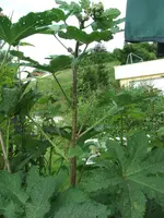 DSCF9285.webp
