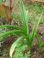 DSCF9288.webp