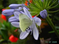 PICT4247.webp