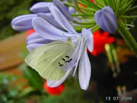 PICT4249.webp