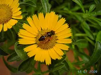 PICT4223.webp
