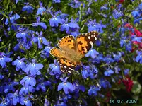 PICT4272.webp