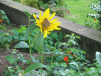 IMG_2126.webp