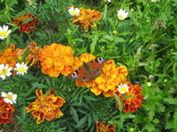 IMG_2124.webp