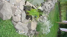DSC00879.webp