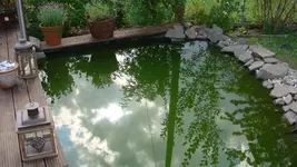 DSC00880.webp