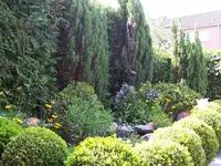 100_1816.webp