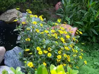 100_1821.webp