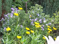 100_1823.webp
