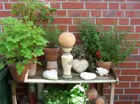 100_1824.webp