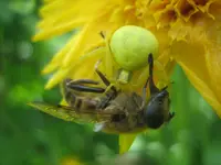 20090715_8920.webp