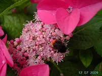 PICT4149.webp