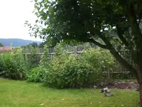 Garten Juli8 028.webp