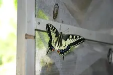ab10 014.webp