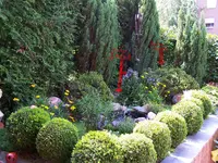 Forum.webp