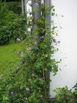 IMG_0189.webp