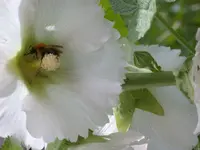 DSCN7396.webp