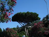 036.webp