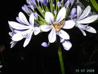 PICT4358.webp