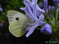 PICT4380.webp