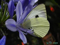 PICT4374.webp